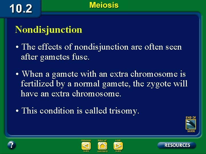 Nondisjunction • The effects of nondisjunction are often seen after gametes fuse. • When