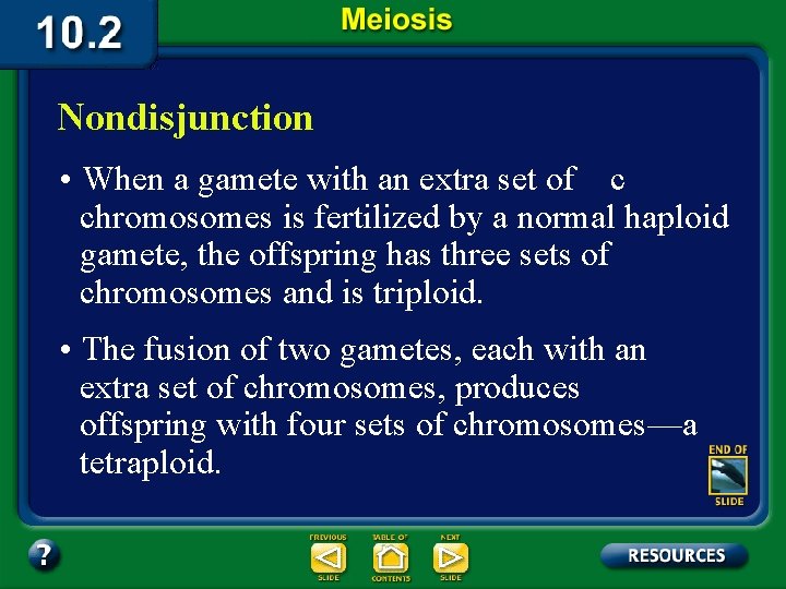 Nondisjunction • When a gamete with an extra set of c chromosomes is fertilized