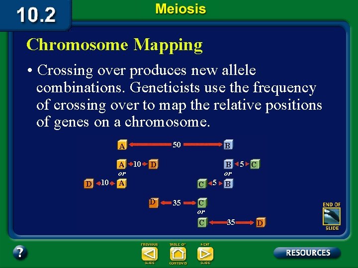 Chromosome Mapping • Crossing over produces new allele combinations. Geneticists use the frequency of