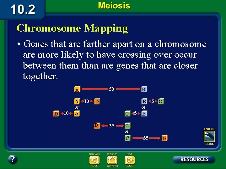 Chromosome Mapping • Genes that are farther apart on a chromosome are more likely