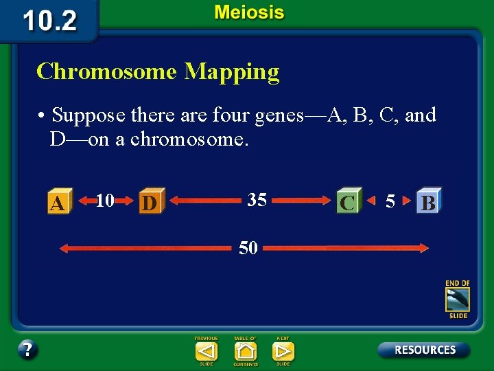 Chromosome Mapping • Suppose there are four genes—A, B, C, and D—on a chromosome.