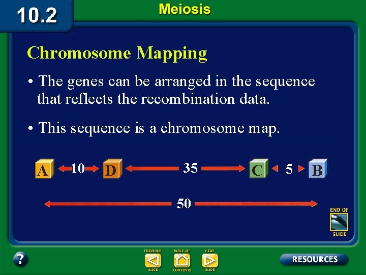 Chromosome Mapping • The genes can be arranged in the sequence that reflects the