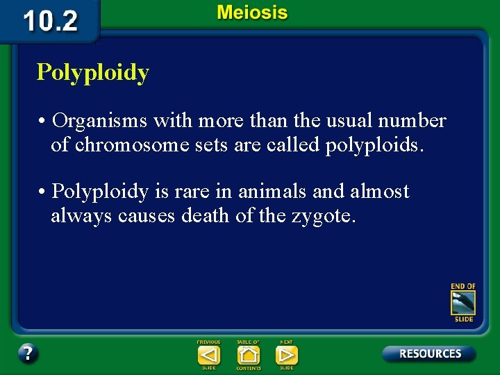 Polyploidy • Organisms with more than the usual number of chromosome sets are called