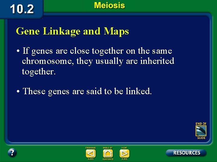 Gene Linkage and Maps • If genes are close together on the same chromosome,