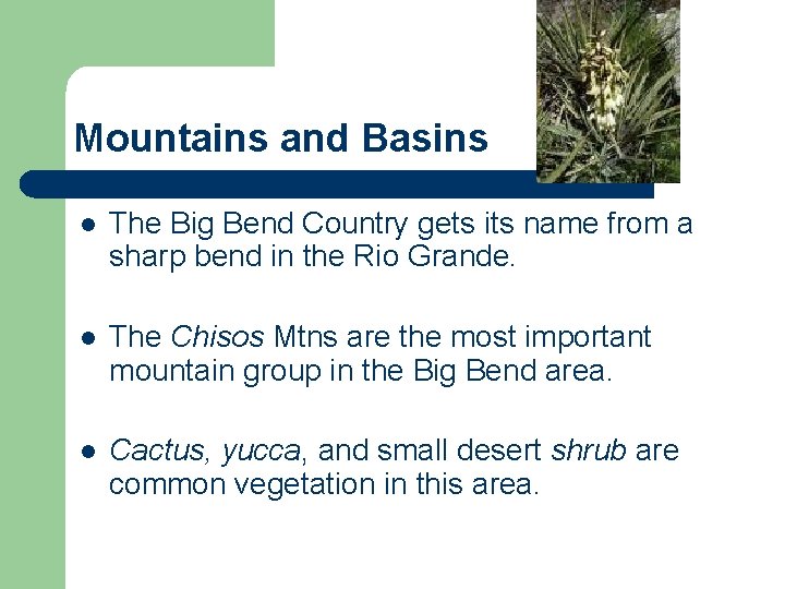 Mountains and Basins l The Big Bend Country gets its name from a sharp