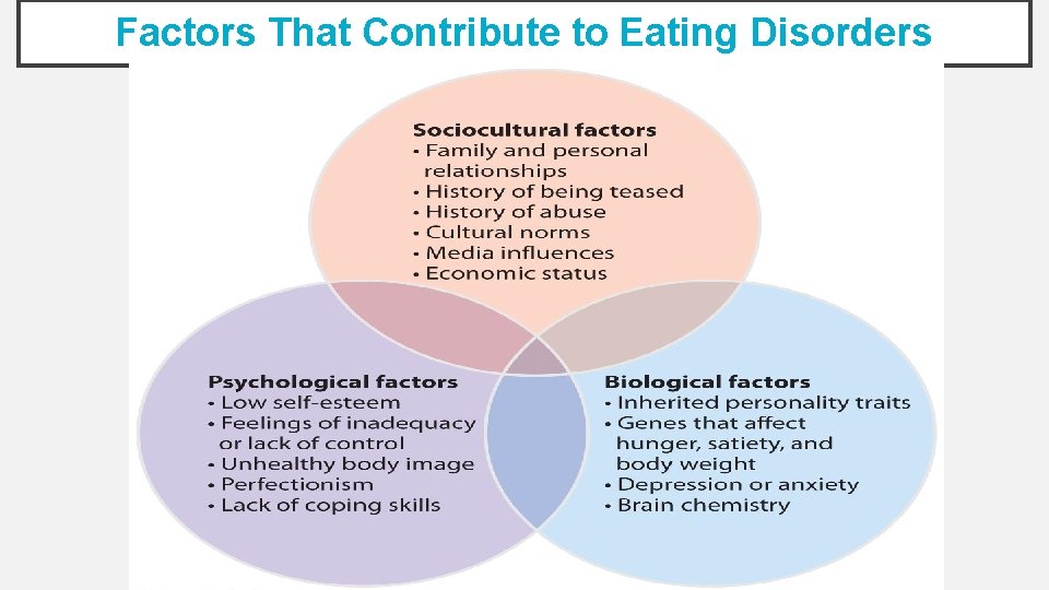 Factors That Contribute to Eating Disorders 