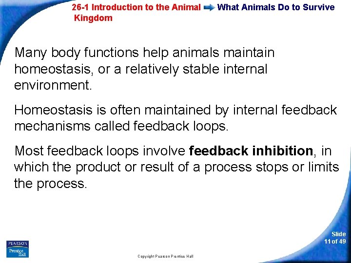 26 -1 Introduction to the Animal Kingdom What Animals Do to Survive Many body