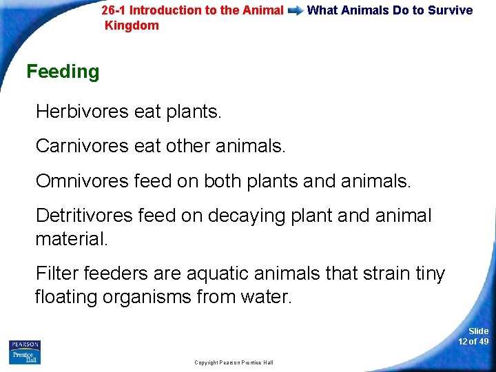 26 -1 Introduction to the Animal Kingdom What Animals Do to Survive Feeding Herbivores