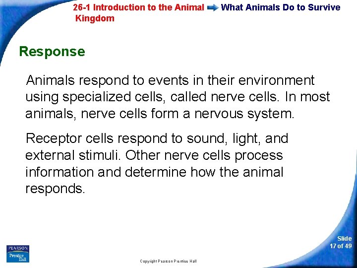 26 -1 Introduction to the Animal Kingdom What Animals Do to Survive Response Animals