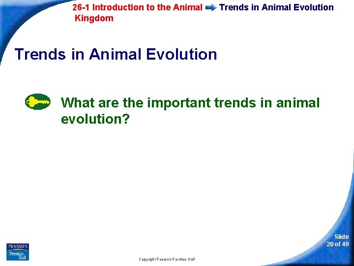 26 -1 Introduction to the Animal Kingdom Trends in Animal Evolution What are the