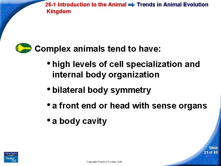 26 -1 Introduction to the Animal Kingdom Trends in Animal Evolution Complex animals tend