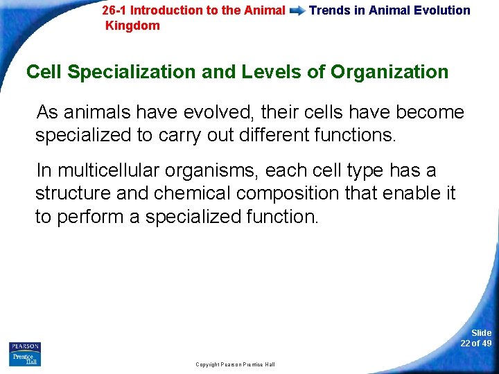 26 -1 Introduction to the Animal Kingdom Trends in Animal Evolution Cell Specialization and