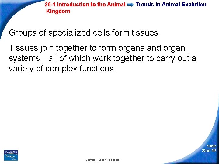 26 -1 Introduction to the Animal Kingdom Trends in Animal Evolution Groups of specialized