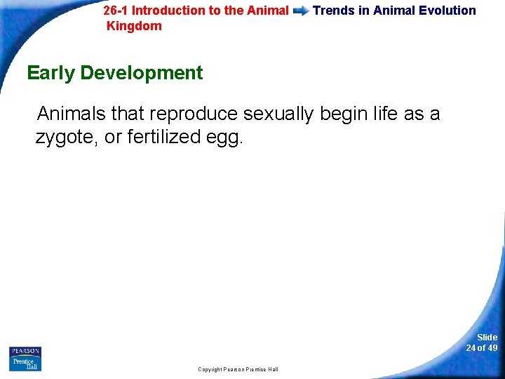 26 -1 Introduction to the Animal Kingdom Trends in Animal Evolution Early Development Animals