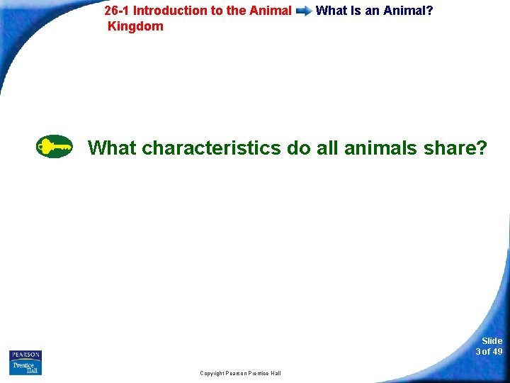 26 -1 Introduction to the Animal Kingdom What Is an Animal? What characteristics do