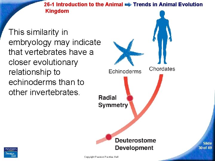 26 -1 Introduction to the Animal Kingdom Trends in Animal Evolution This similarity in