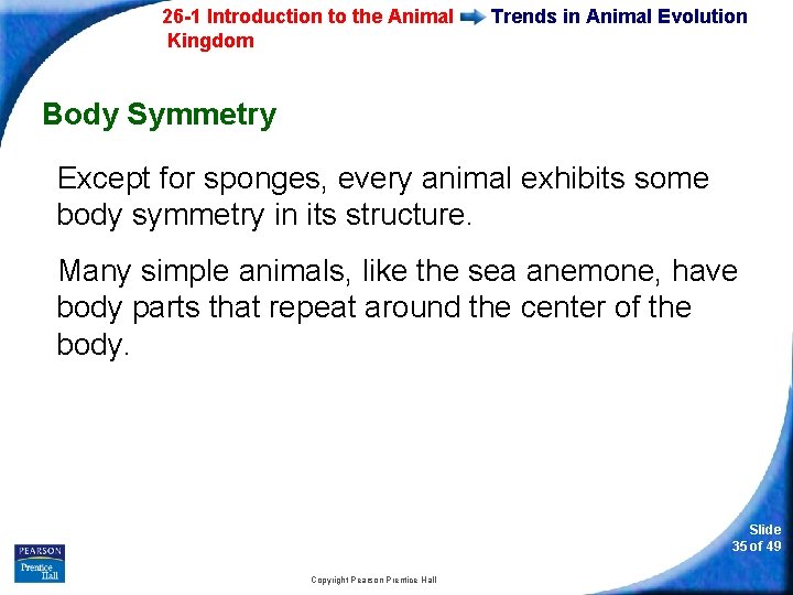 26 -1 Introduction to the Animal Kingdom Trends in Animal Evolution Body Symmetry Except
