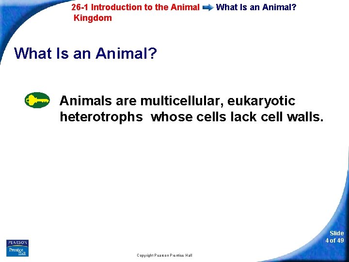 26 -1 Introduction to the Animal Kingdom What Is an Animal? Animals are multicellular,