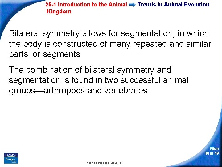 26 -1 Introduction to the Animal Kingdom Trends in Animal Evolution Bilateral symmetry allows