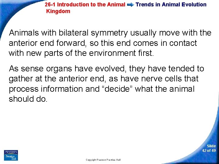 26 -1 Introduction to the Animal Kingdom Trends in Animal Evolution Animals with bilateral