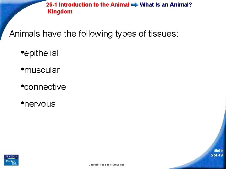 26 -1 Introduction to the Animal Kingdom What Is an Animal? Animals have the