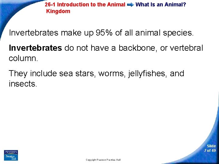 26 -1 Introduction to the Animal Kingdom What Is an Animal? Invertebrates make up