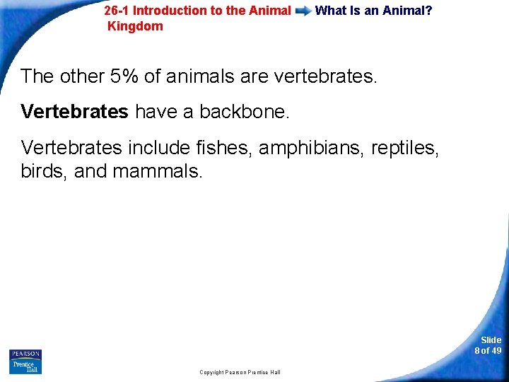 26 -1 Introduction to the Animal Kingdom What Is an Animal? The other 5%