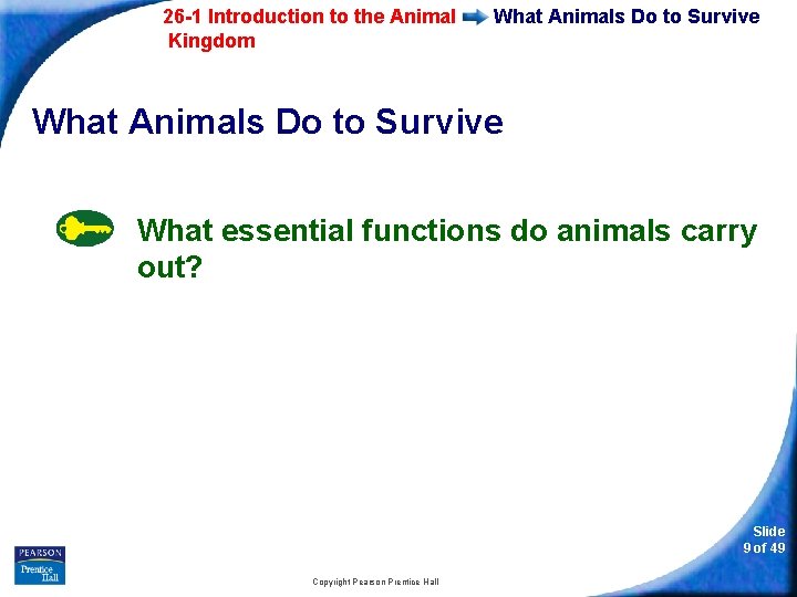 26 -1 Introduction to the Animal Kingdom What Animals Do to Survive What essential