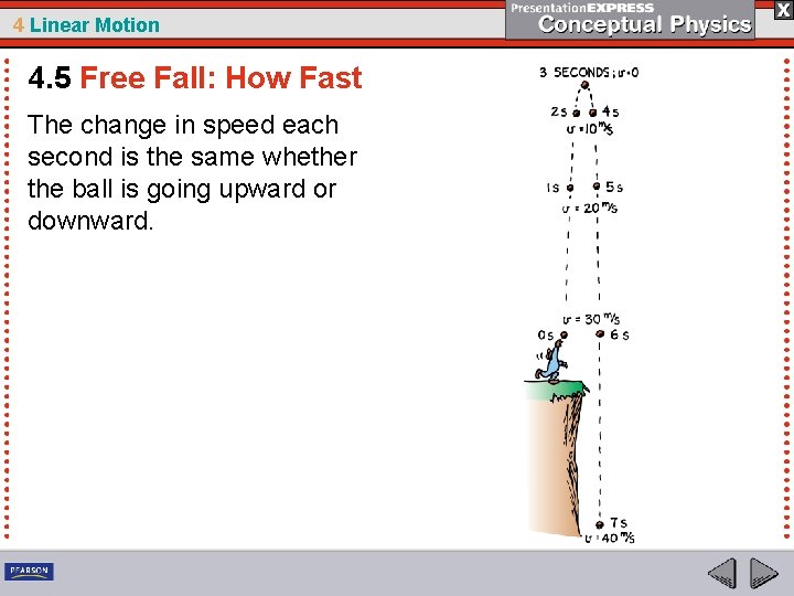 4 Linear Motion 4. 5 Free Fall: How Fast The change in speed each