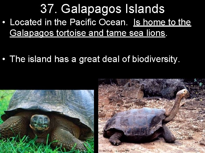 37. Galapagos Islands • Located in the Pacific Ocean. Is home to the Galapagos
