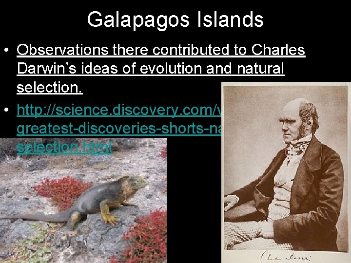 Galapagos Islands • Observations there contributed to Charles Darwin’s ideas of evolution and natural