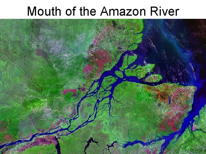 Mouth of the Amazon River 