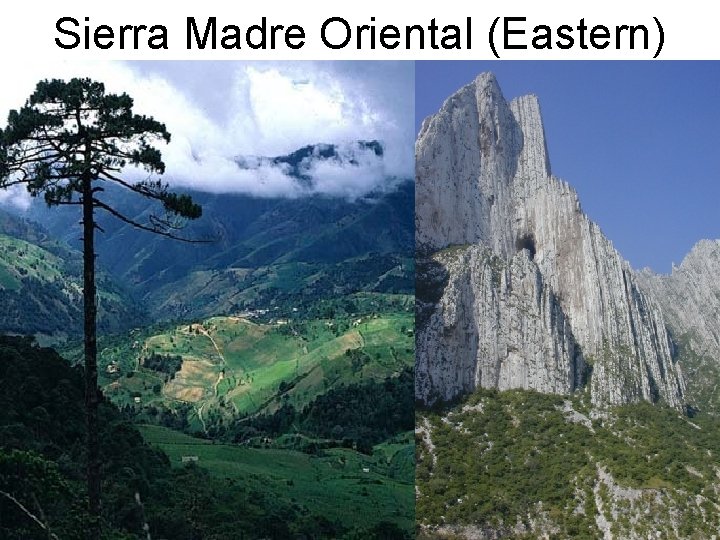 Sierra Madre Oriental (Eastern) 