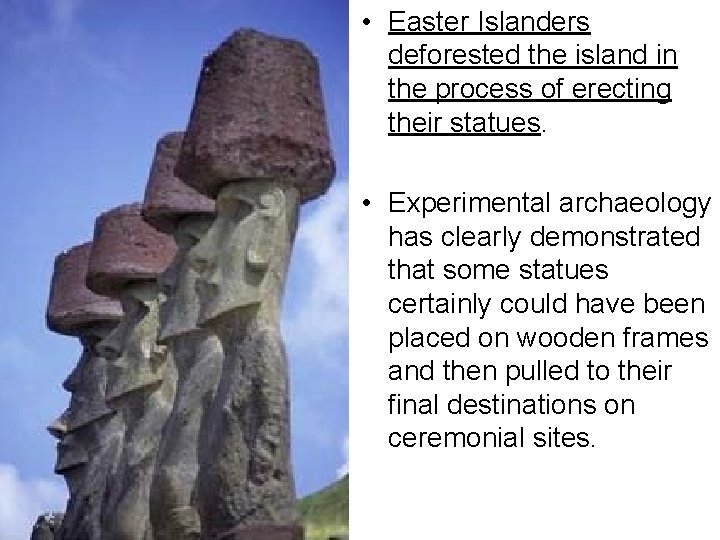  • Easter Islanders deforested the island in the process of erecting their statues.