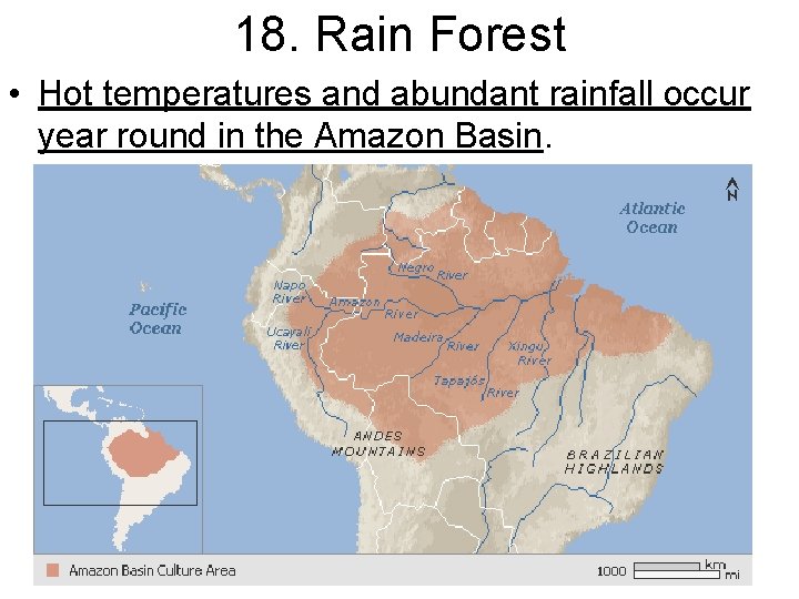 18. Rain Forest • Hot temperatures and abundant rainfall occur year round in the