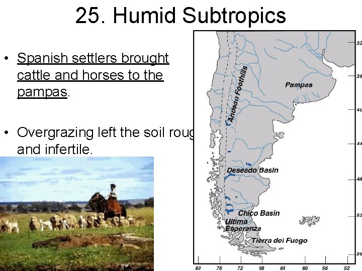 25. Humid Subtropics • Spanish settlers brought cattle and horses to the pampas. •