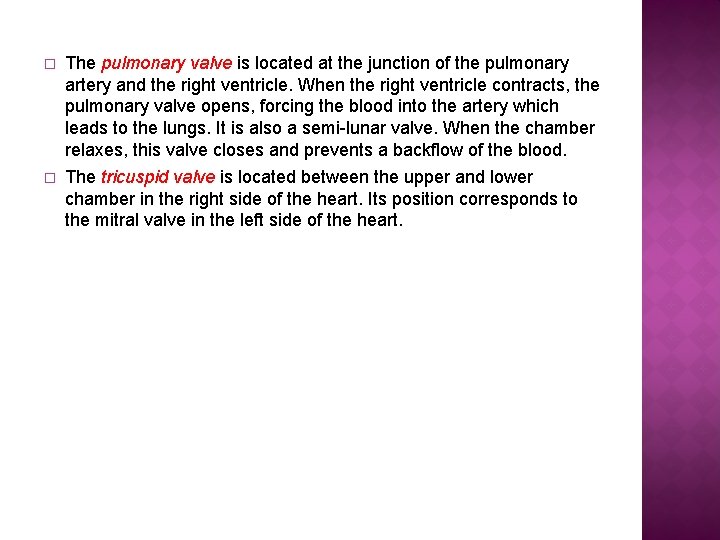 � The pulmonary valve is located at the junction of the pulmonary artery and