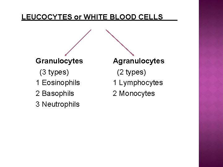 LEUCOCYTES or WHITE BLOOD CELLS Granulocytes (3 types) 1 Eosinophils 2 Basophils 3 Neutrophils