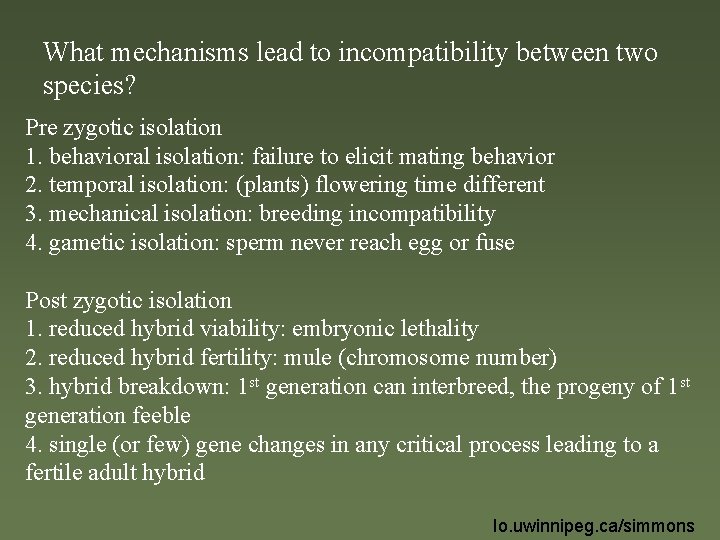 What mechanisms lead to incompatibility between two species? Pre zygotic isolation 1. behavioral isolation: