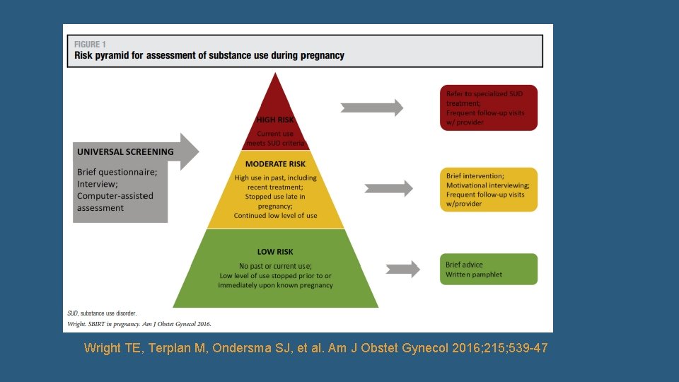 Wright TE, Terplan M, Ondersma SJ, et al. Am J Obstet Gynecol 2016; 215;