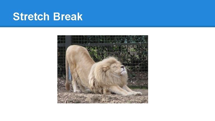 Stretch Break 