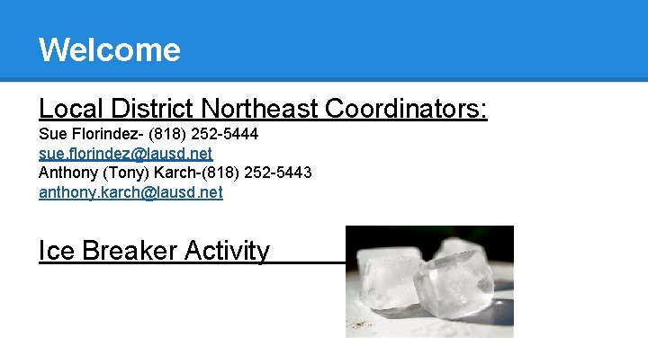 Welcome Local District Northeast Coordinators: Sue Florindez- (818) 252 -5444 sue. florindez@lausd. net Anthony