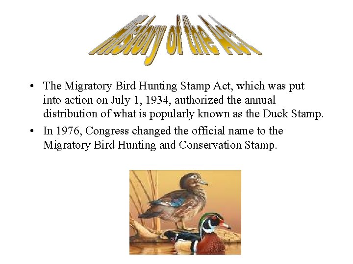  • The Migratory Bird Hunting Stamp Act, which was put into action on