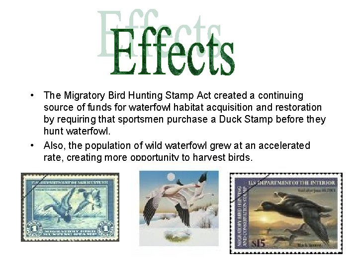  • The Migratory Bird Hunting Stamp Act created a continuing source of funds