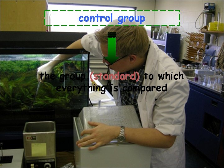 control group the group (standard) to which everything is compared 
