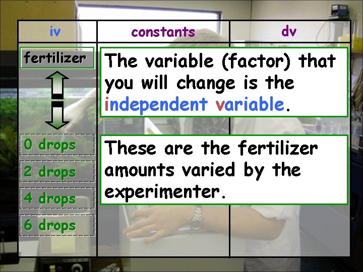 iv constants dv fertilizer The variable (factor) that you will change is the independent