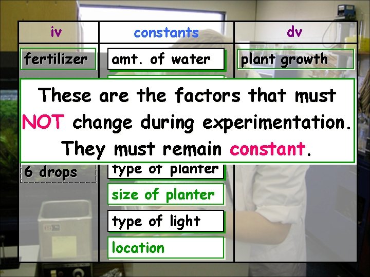 iv constants fertilizer amt. of water 0 drops These type of soil 6 drops