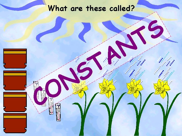 What are these called? S T N A T S N O C 
