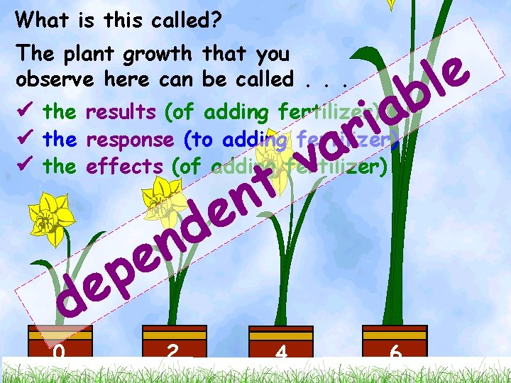 What is this called? e l the results (of adding fertilizer) b a i
