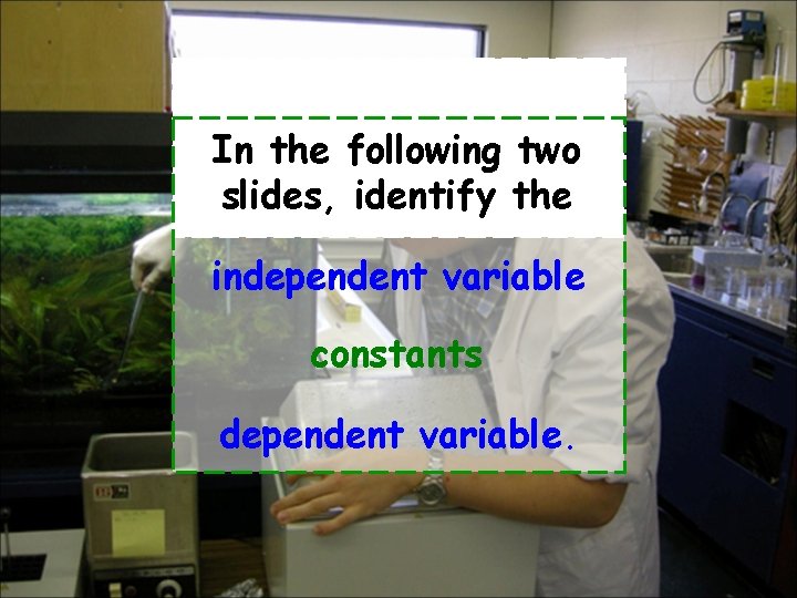In the following two slides, identify the independent variable constants dependent variable. 